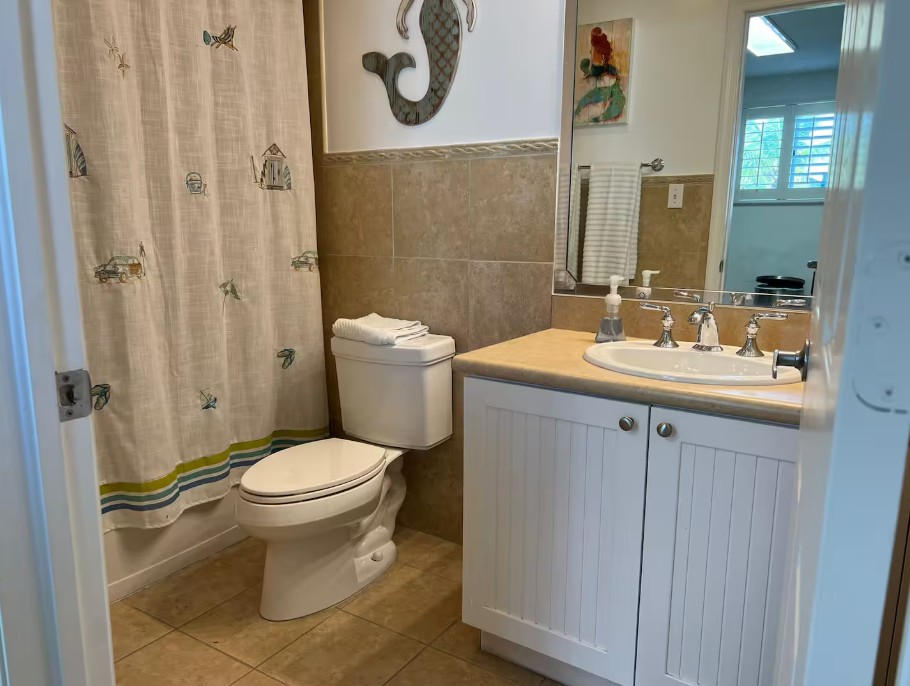 Guest bathroom