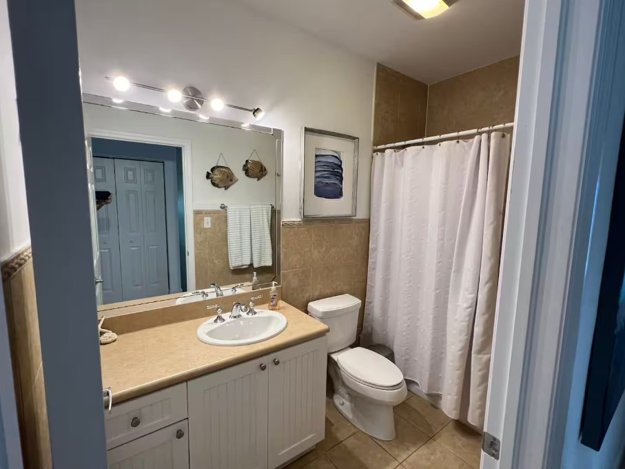 Lower level bathroom